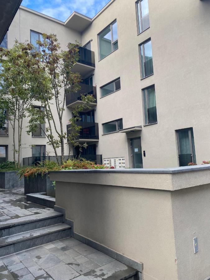 Lunafan Apartment 克卢日-纳波卡 外观 照片
